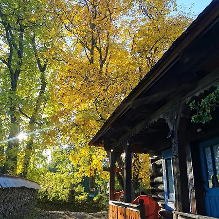 Complex Traditional Casa Din Vale * Breb