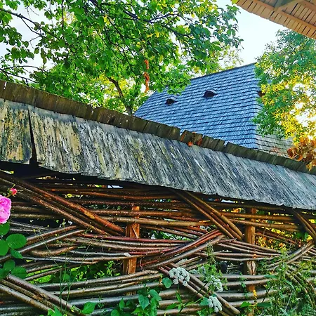 Landhaus Complex Traditional Casa Din Vale